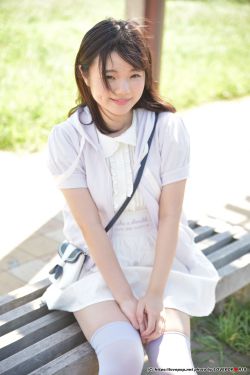 县委大院多少集