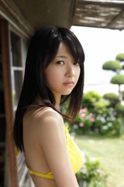 《金花瓶楷梅花2》