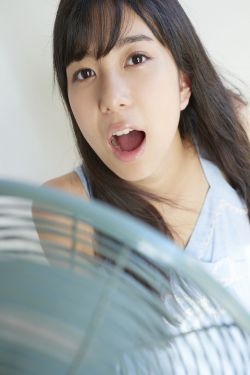 质数的孤独