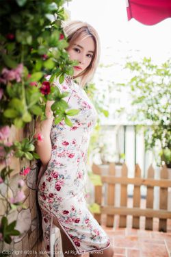 质数的孤独