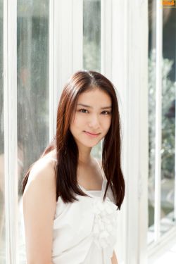 《金花瓶楷梅花2》