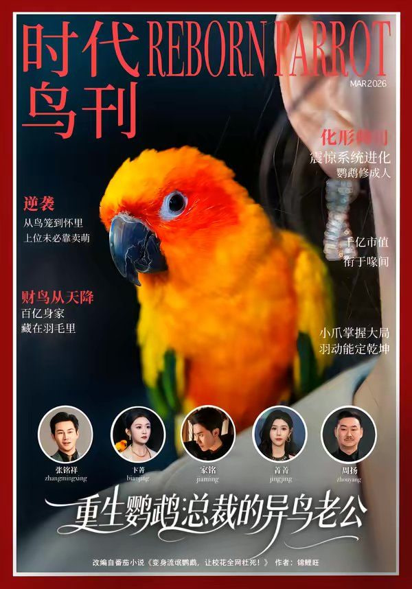 重生鹦鹉：总裁的异鸟老公